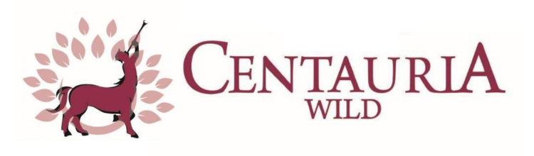 KITCHEN GALLERY HOTEL SOLUTIONS